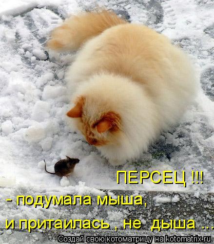 Котоматрица: - подумала мыша,  ПЕРСЕЦ !!! и притаилась , не  дыша ...