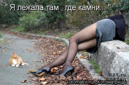 " Я лежала там , где камни... "... Котоматрица: " Я лежала там , где камни... "