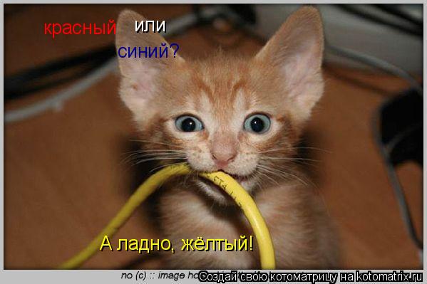 Котоматрица: красный или синий? А ладно, жёлтый!