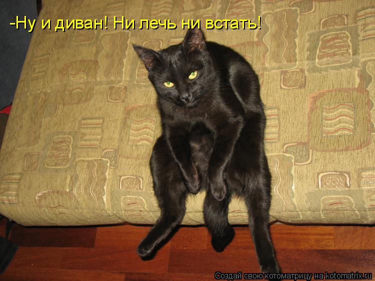 Котоматрица: -Ну и диван! Ни лечь ни встать!