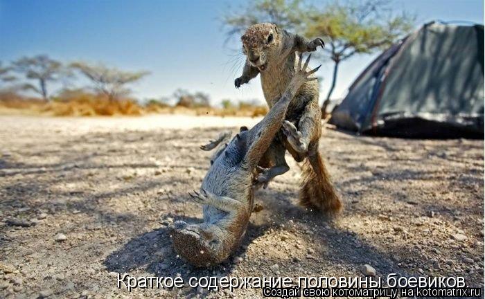 Котоматрица: Краткое содержание половины боевиков.