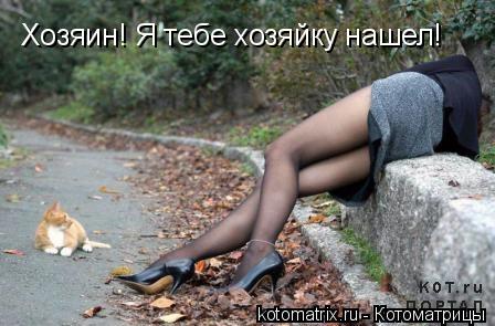 Хозяин! Я тебе хозяйку нашел!... Котоматрица: Хозяин! Я тебе хозяйку нашел!
