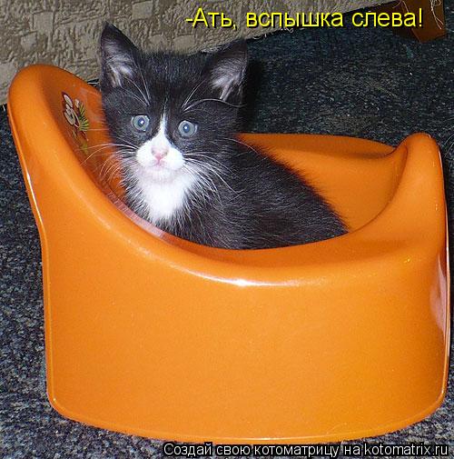 -Ать, вспышка слева!... Котоматрица: -Ать, вспышка слева!
