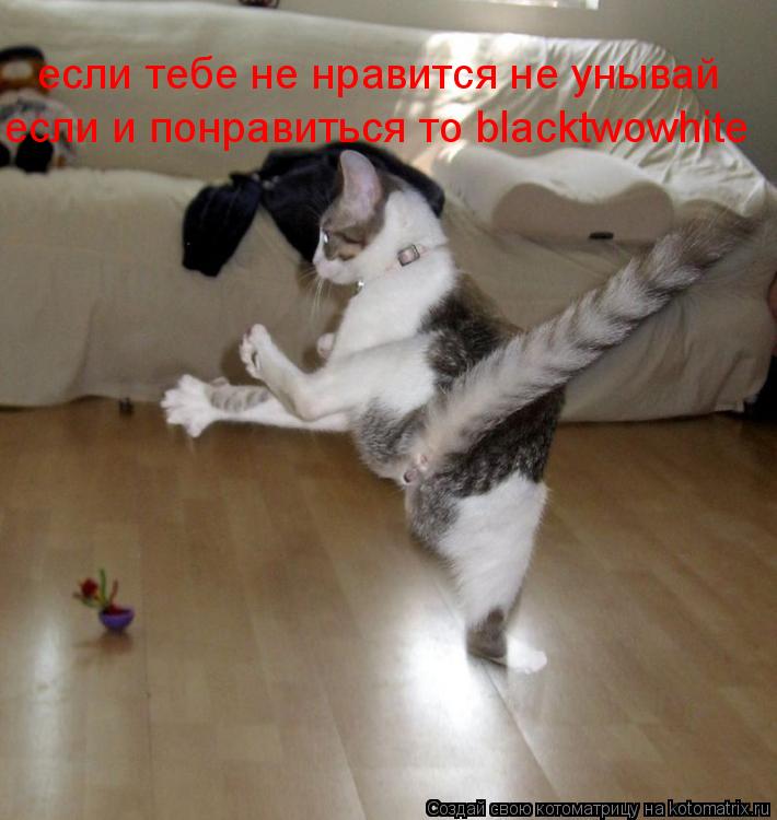 если тебе не нравится не унывай если и понравиться то blacktwowhite... Котоматрица: если тебе не нравится не унывай если и понравиться то blacktwowhite