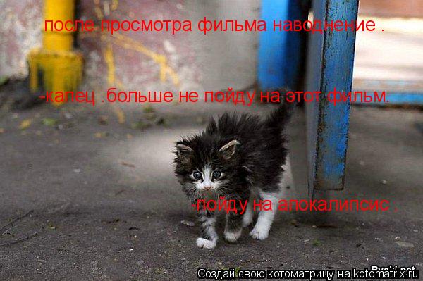 после просмотра фильма наводнение . -капец .больше не пойду на этот фильм. -пойду на апокалипсис .... Котоматрица: после просмотра фильма наводнение . -капец .больше не пойду на этот фильм. -пойду на апокалипсис .
