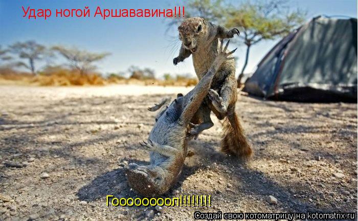 Удар ногой Аршававина!!! Гоооооооол!!!!!!!!... Котоматрица: Удар ногой Аршававина!!! Гоооооооол!!!!!!!!