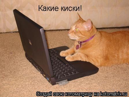 Какие киски!... Котоматрица: Какие киски!