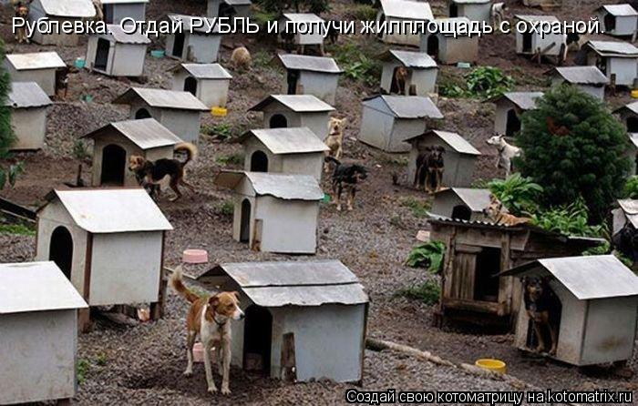 Котоматрица: Рублевка. Отдай РУБЛЬ и получи жилплощадь с охраной.