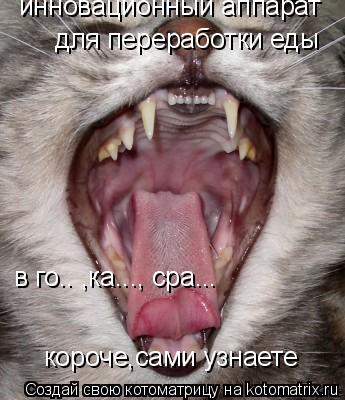 Котоматрица: инновационный аппарат для переработки еды в го.. ,ка..., сра... короче,сами узнаете