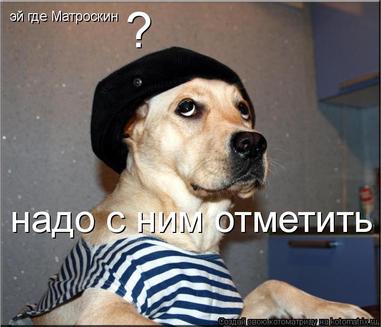 Котоматрица: эй где Матроскин ? надо с ним отметить