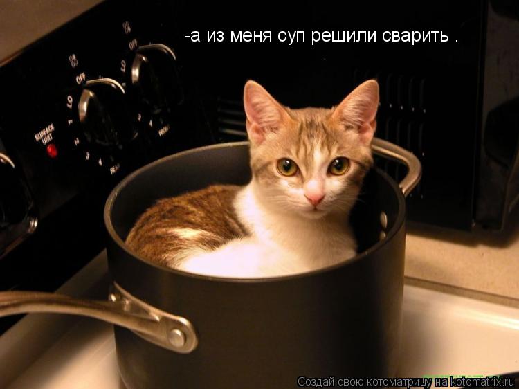 Котоматрица: -а из меня суп решили сварить .