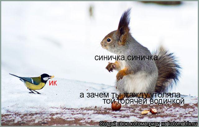 Котоматрица: ик синичка,синичка а зачем ты жажду утоляла той горячей водичкой