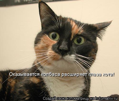 Котоматрица: Оказывается колбаса расширяет глаза кота!