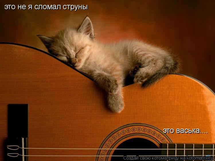 Котоматрица: это не я сломал струны это васька....