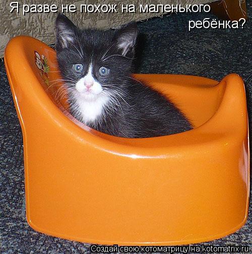 Котоматрица: Я разве не похож на маленького ребёнка?