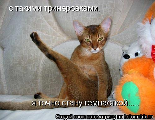 Котоматрица: с такими тринеровками. я точно стану гемнасткой.....