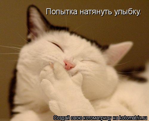 Котоматрица: Попытка натянуть улыбку.