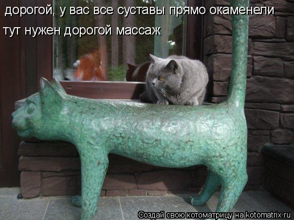 Котоматрица: дорогой, у вас все суставы прямо окаменели тут нужен дорогой массаж