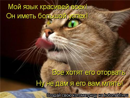 Котоматрица: Мой язык красивей всех! Мой язык красивей всех! Он иметь большой успех! Все хотят его оторвать Ну не дам я его вам,млять!