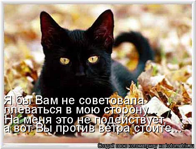 Я бы Вам не советовала плеваться в мою сторону... На меня это не подействует, а вот Вы против ветра с... Котоматрица: Я бы Вам не советовала плеваться в мою сторону... На меня это не подействует, а вот Вы против ветра стоите...
