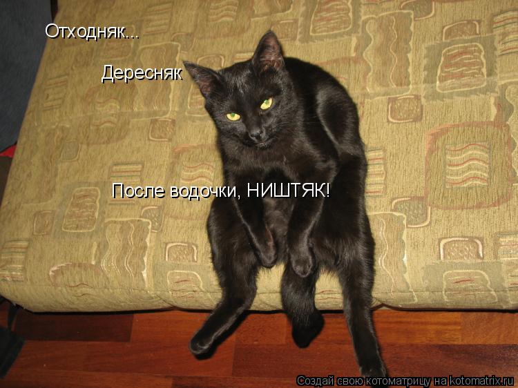 Отходняк... Дересняк После водочки, НИШТЯК!... Котоматрица: Отходняк... Дересняк После водочки, НИШТЯК!