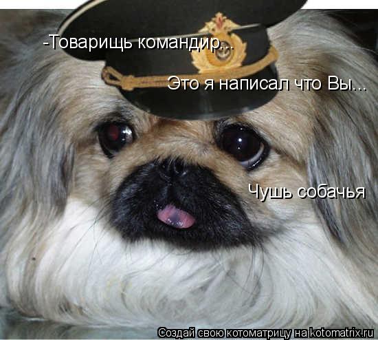 -Товарищь командир... Это я написал что Вы... Чушь собачья... Котоматрица: -Товарищь командир... Это я написал что Вы... Чушь собачья
