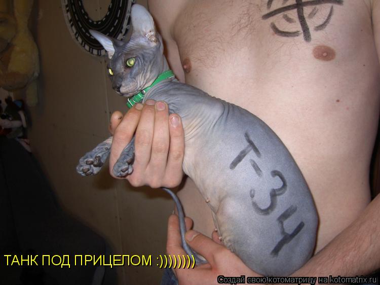 ТАНК ПОД ПРИЦЕЛОМ :))))))))... Котоматрица: ТАНК ПОД ПРИЦЕЛОМ :))))))))