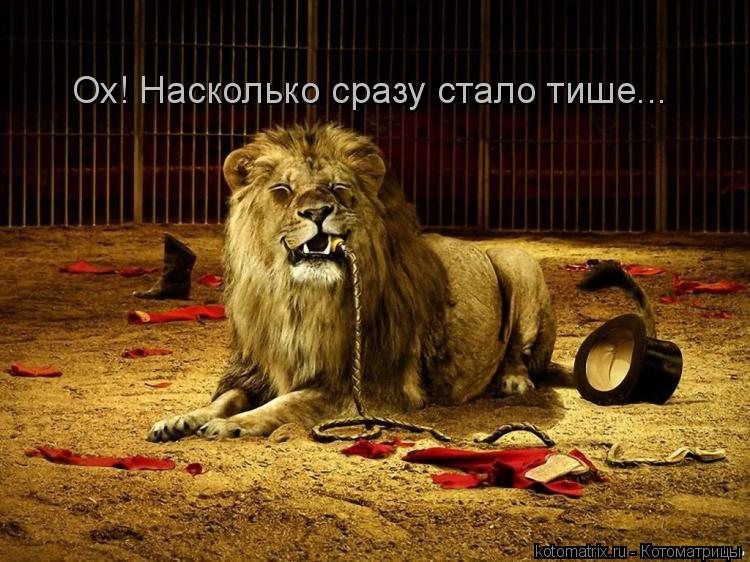 Ох! Насколько сразу стало тише...... Котоматрица: Ох! Насколько сразу стало тише...