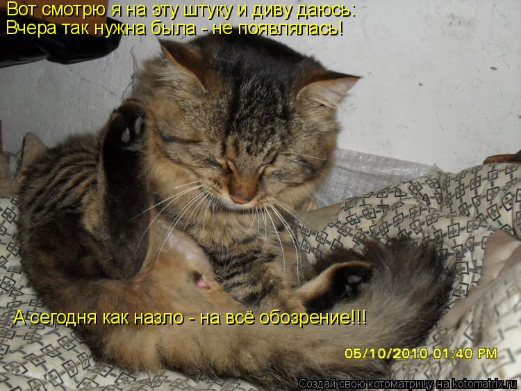 Вот смотрю я на эту штуку и диву даюсь: Вчера так нужна была - не появлялась! А сегодня как назло -... Котоматрица: Вот смотрю я на эту штуку и диву даюсь: Вчера так нужна была - не появлялась! А сегодня как назло - на всё обозрение!!!