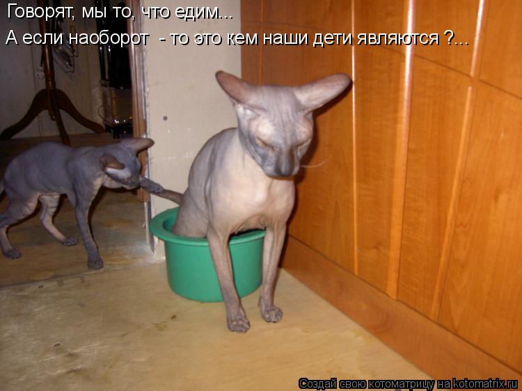 Говорят, мы то, что едим... А если наоборот - то это кем наши дети являются ?...... Котоматрица: Говорят, мы то, что едим... А если наоборот - то это кем наши дети являются ?...