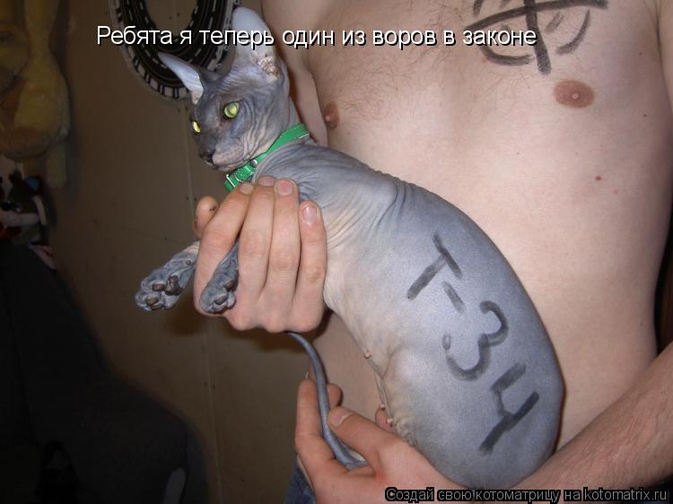 Ребята я теперь один из воров в законе... Котоматрица: Ребята я теперь один из воров в законе