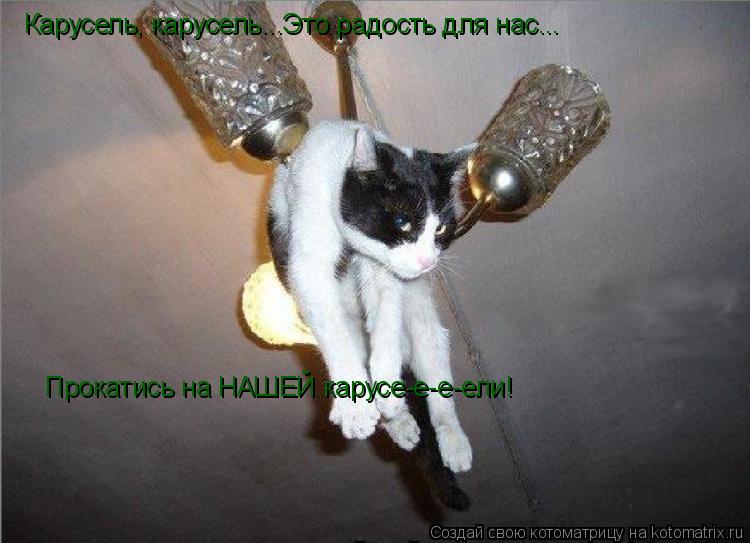 Карусель, карусель...Это радость для нас... Прокатись на НАШЕЙ карусе-е-е-ели!... Котоматрица: Карусель, карусель...Это радость для нас... Прокатись на НАШЕЙ карусе-е-е-ели!