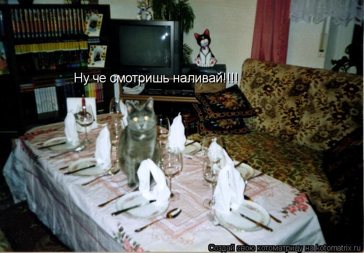 Ну че смотришь наливай!!!!... Котоматрица: Ну че смотришь наливай!!!!