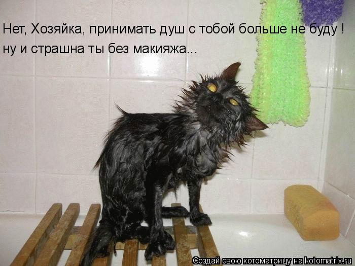 ну и страшна ты без макияжа... Нет, Хозяйка, принимать душ с тобой больше не буду !... Котоматрица: ну и страшна ты без макияжа... Нет, Хозяйка, принимать душ с тобой больше не буду !