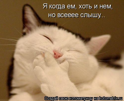 Я когда ем, хоть и нем, но всееее слышу...... Котоматрица: Я когда ем, хоть и нем, но всееее слышу...