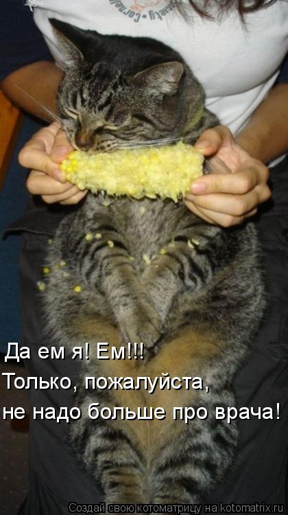 Да ем я! Ем!!! Только, пожалуйста, не надо больше про врача!... Котоматрица: Да ем я! Ем!!! Только, пожалуйста, не надо больше про врача!