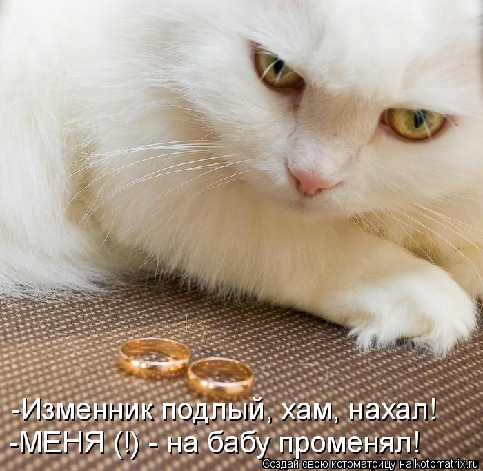 -Изменник подлый, хам, нахал! -МЕНЯ (!) - на бабу променял!... Котоматрица: -Изменник подлый, хам, нахал! -МЕНЯ (!) - на бабу променял!