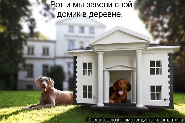 Вот и мы завели свой домик в деревне.... Котоматрица: Вот и мы завели свой домик в деревне.