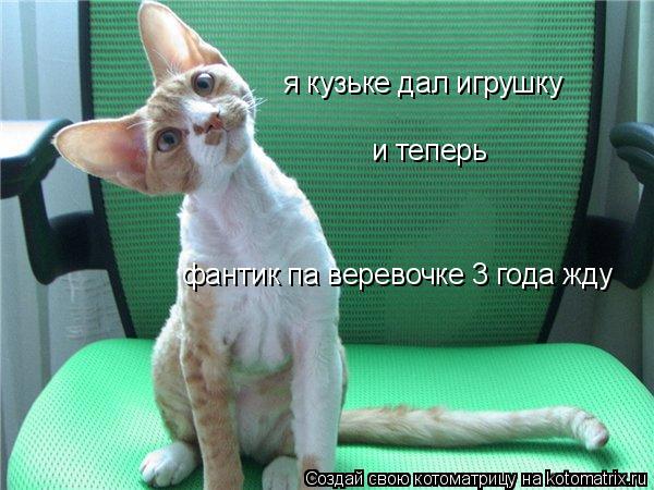 фантик па веревочке 3 года жду я кузьке дал игрушку и теперь... Котоматрица: фантик па веревочке 3 года жду я кузьке дал игрушку и теперь