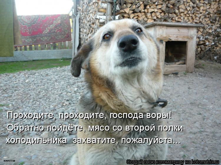 Проходите, проходите, господа воры! Проходите, проходите, господа воры! Обратно пойдёте, мясо со втор... Котоматрица: Проходите, проходите, господа воры! Проходите, проходите, господа воры! Обратно пойдёте, мясо со второй полки холодильника захватите, пожал