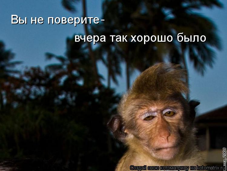Вы не поверите вчера так хорошо было -... Котоматрица: Вы не поверите вчера так хорошо было -