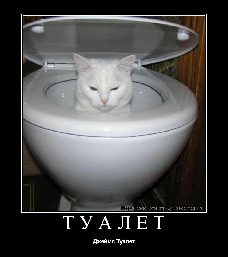 Котоматрица: Туалет Джеймс Туалет