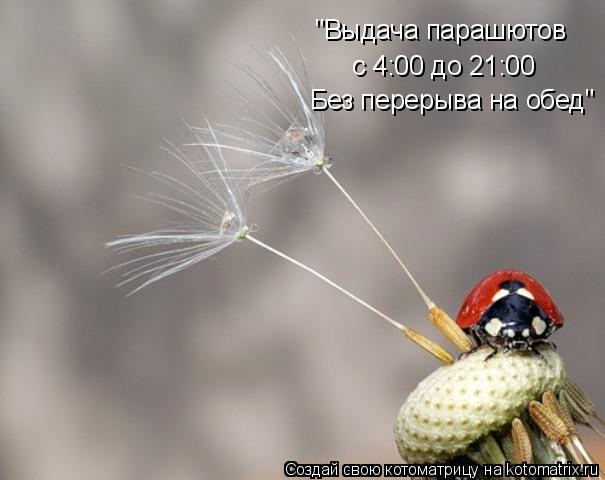 "Выдача парашютов с 4:00 до 21:00 Без перерыва на обед"... Котоматрица: "Выдача парашютов с 4:00 до 21:00 Без перерыва на обед"
