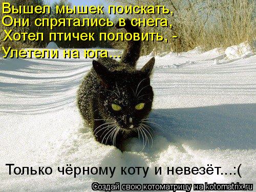 Они спрятались в снега, Вышел мышек поискать, Хотел птичек половить, - Улетели на юга... Только чёрно... Котоматрица: Они спрятались в снега, Вышел мышек поискать, Хотел птичек половить, - Улетели на юга... Только чёрному коту и невезёт...:(