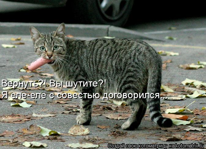Вернуть?! Вы шутите?! Я еле-еле с совестью договорился...... Котоматрица: Вернуть?! Вы шутите?! Я еле-еле с совестью договорился...