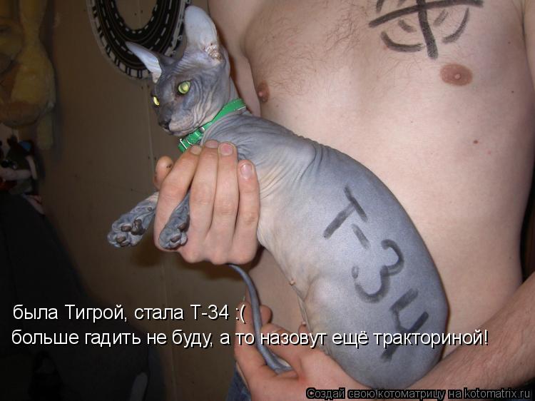 была Тигрой, стала Т-34 :( больше гадить не буду, а то назовут ещё тракториной!... Котоматрица: была Тигрой, стала Т-34 :( больше гадить не буду, а то назовут ещё тракториной!