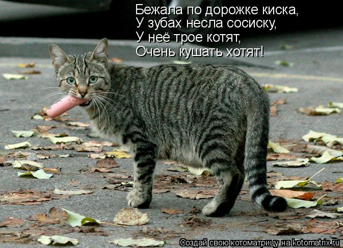 Бежала по дорожке киска, У зубах несла сосиску, У неё трое котят, Очень кушать хотят!... Котоматрица: Бежала по дорожке киска, У зубах несла сосиску, У неё трое котят, Очень кушать хотят!