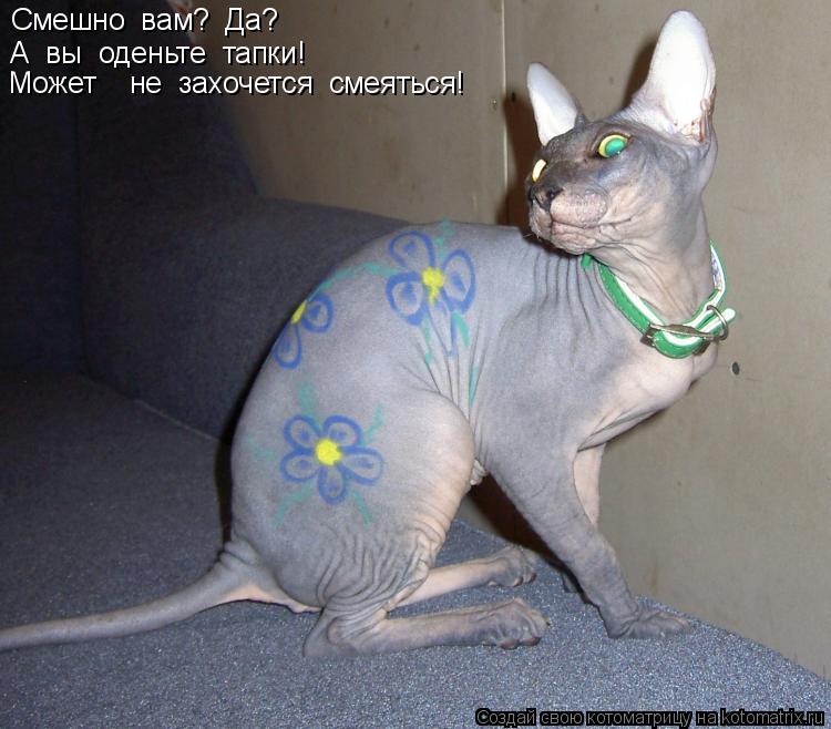 Смешно вам? Да? А вы оденьте тапки! Может не захочется смеяться!... Котоматрица: Смешно вам? Да? А вы оденьте тапки! Может не захочется смеяться!