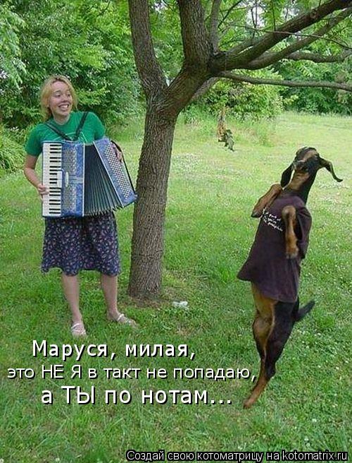 Маруся, милая, это НЕ Я в такт не попадаю, а ТЫ по нотам...... Котоматрица: Маруся, милая, это НЕ Я в такт не попадаю, а ТЫ по нотам...