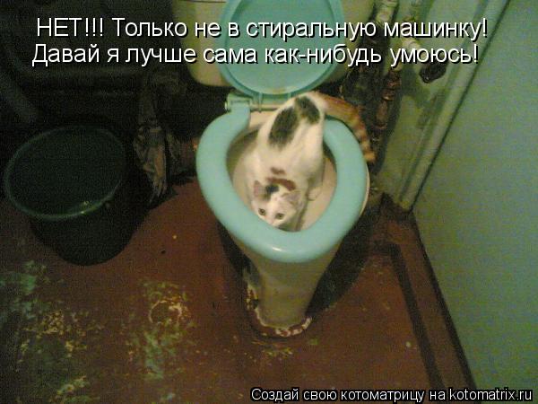 НЕТ!!! Только не в стиральную машинку! Давай я лучше сама как-нибудь умоюсь!... Котоматрица: НЕТ!!! Только не в стиральную машинку! Давай я лучше сама как-нибудь умоюсь!
